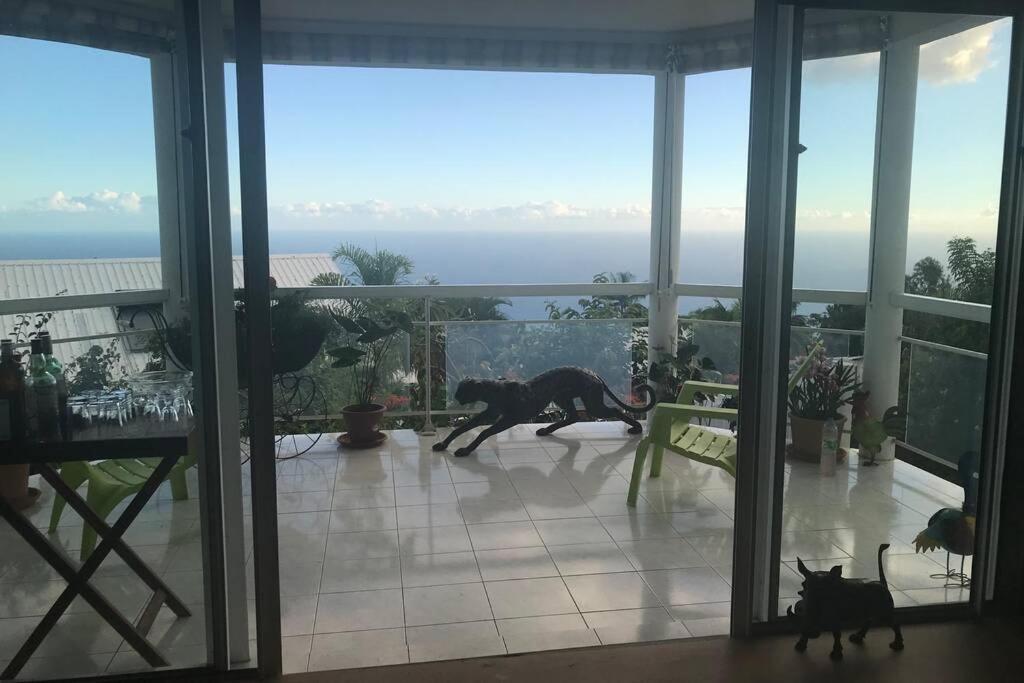 St Leu -Villa D'Artiste, Superbe Vue Mer, Piscine Chauffee Saint-Leu Exterior foto